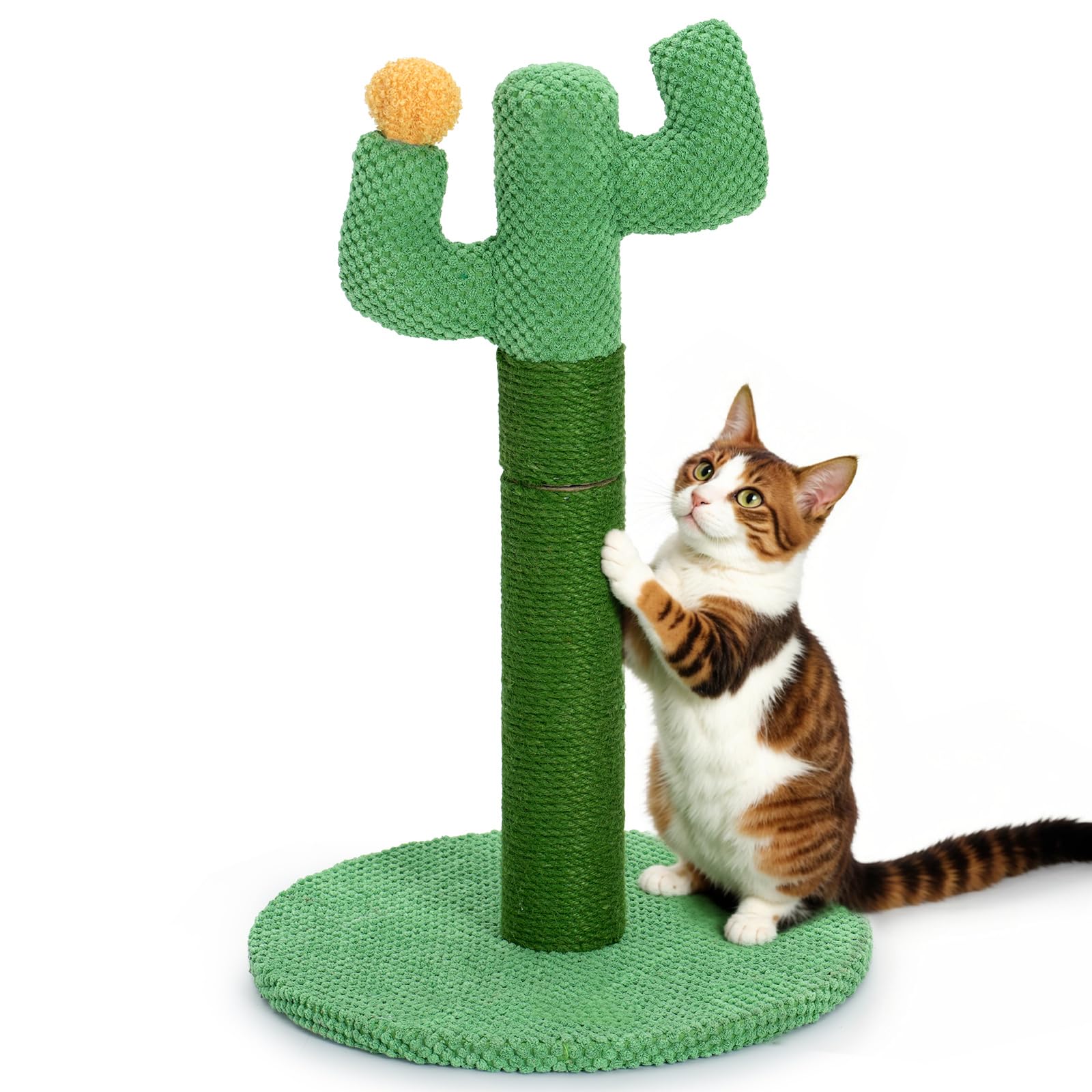 Cat Scratching Post for Indoor Cats - Happy & Polly Cactus Cat Scratch Post in Jute Rope - 50cm Cat Scratcher with Stable Base for Kittens and Small Cats