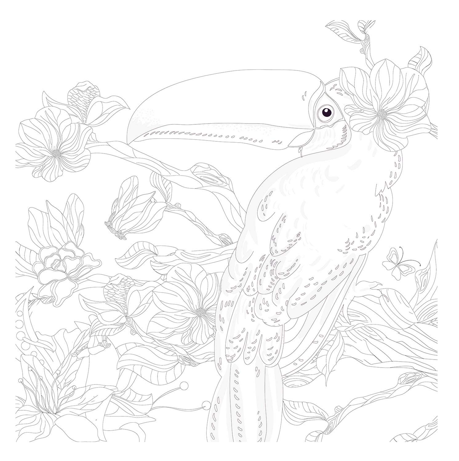 Honsell 12112 Stretcher Frame with Toucan Motif, Size 30 x 30 cm, Pre-Printed Design for Colouring with Acrylic, Watercolour and Oil Paints and Felt Pens