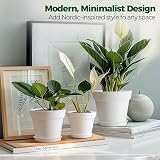 T4U 12.5cm Plastic Plant Pots 6-Pack with Saucer White Indoor Outdoor view 5