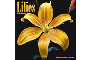 Lilies Calendar - 2016 Wall calendars - Garden Calendars - Flower Calendar - Monthly Wall Calendar by Avonside