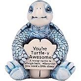 4.5in Resin Positive Turtle Gifts for Animal Lovers, Women - Inspirational Decor Home/Desk, Bday/Teacher Gifts - Unique Shock