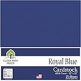 Royal Blue Cardstock - 12 x 12 inch - 65Lb Cover - 25 Sheets - Clear Path Paper