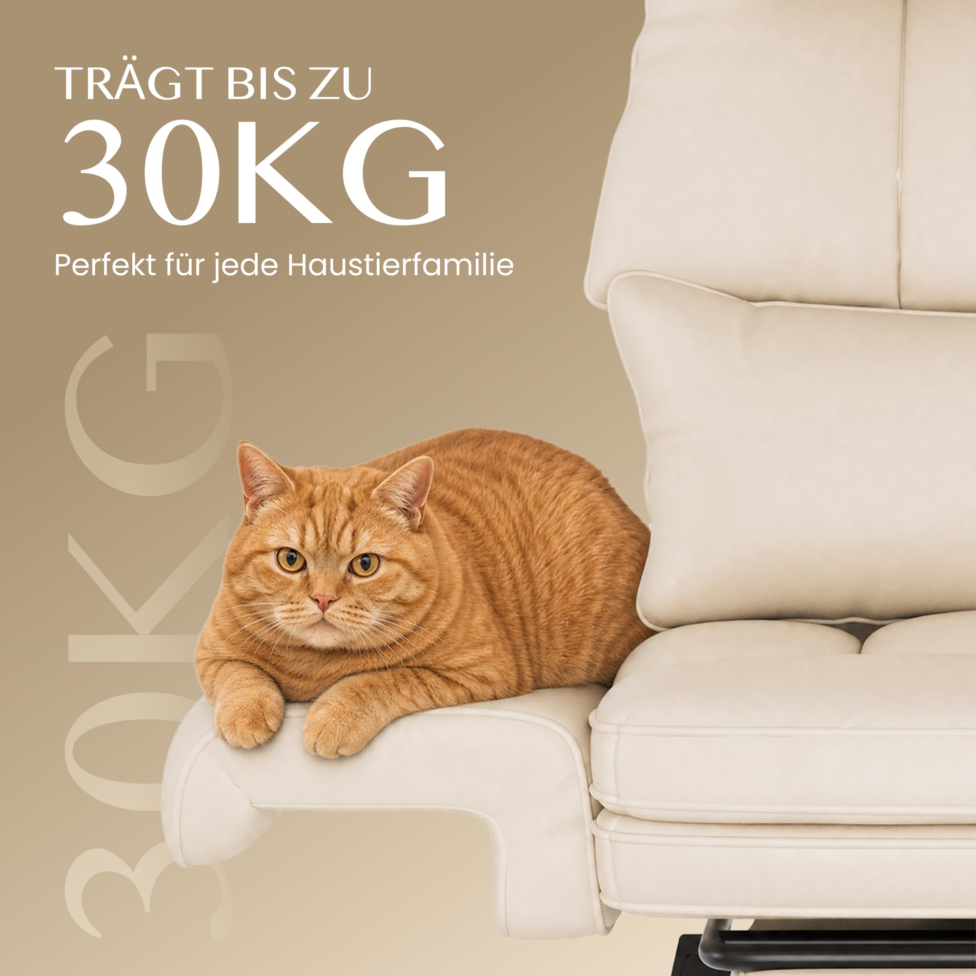 FLEXISPOT Luno Chefsessel Ergonomischer Bürostuhl mit Fußstütze 5