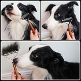 onebarleycorn Dog Grooming Coat Rake 14-Blade Undercoat Deshedding Tool view 8