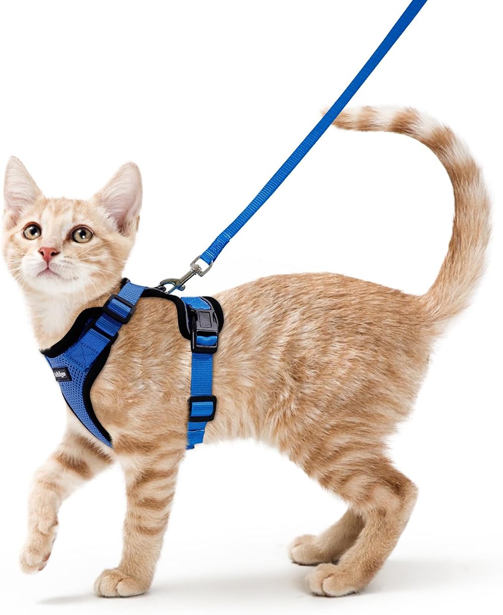 rabbitgoo Cat Harness and Lead Set XS Blue Reflective Escape Proof