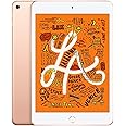 Apple iPad Mini, 5th Generation (Wi-Fi, 64GB) - Gold (Renewed)