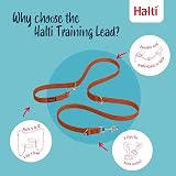 Halti Training Lead double ended no-pull small 2m burnt orange view 3