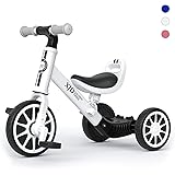 Schwinn Roadster Kids Tricycle 