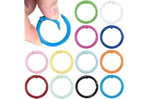 Winsyison Spring O Rings,Round Spring Snap Keyring, Metal Carabiner Clips for Keychain Handbag Purse Dog