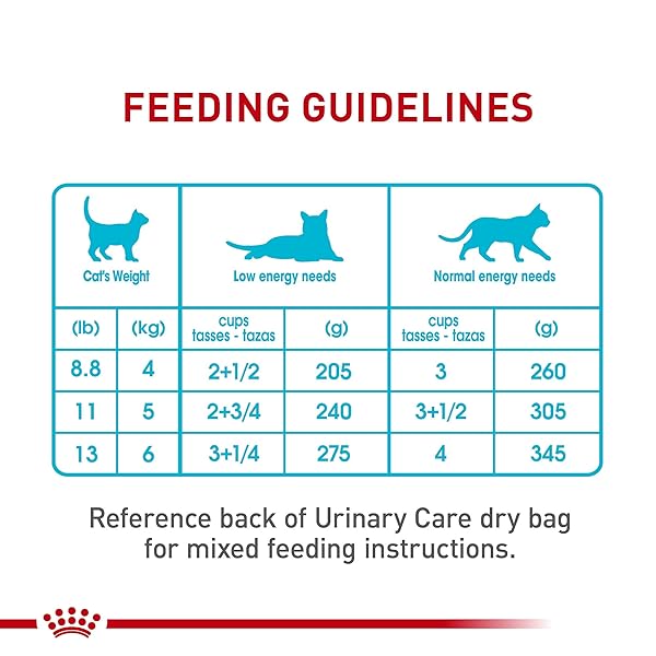 ROYAL CANIN FELINE URINARY CARE THIN SLICES IN GRAVY WET CAT FOOD MULTIPACK 3 OZ. COUNT OF 12