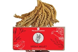 Ma Poule Express Worlds Freshest Sun-Dried Spray Millet GMO and Pesticide Free Original Bird Treat and Supplement for All Pet