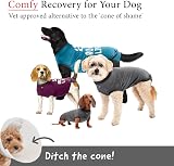BellyGuard Dog Surgery Recovery Suit for Post-Op Care view 2