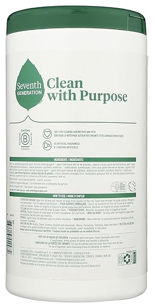 SEVENTH GENERATION MULTI-SURFACE WIPES, GARDEN MINT SCENTED, 70 COUNT