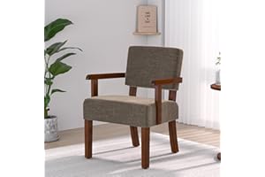 FAGAGA Accent Chair, Living Room Chairs Oversized with Soft Seat and Armrests for Dinning Bedroom Reading and Waiting Rooms