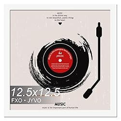 Fxojyvo Vinyl Record Frame for the Wall Display