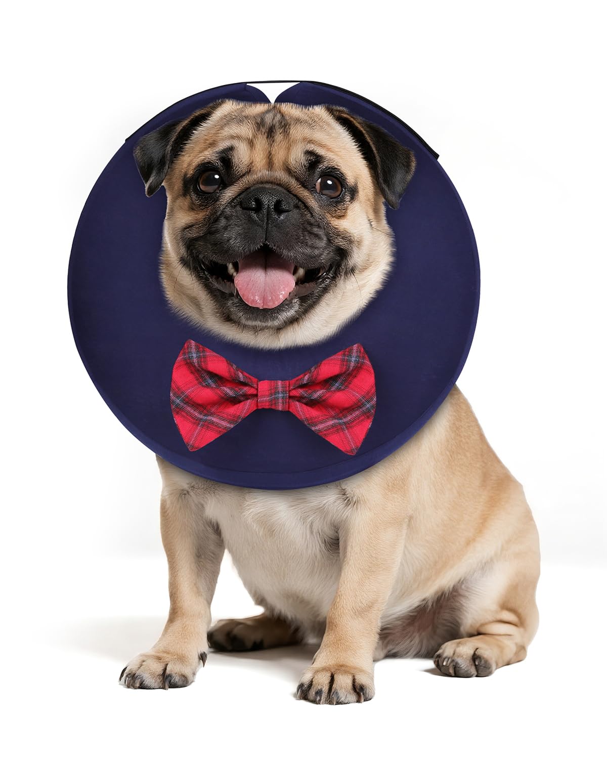 Photo 1 of MIDOG Dog Cone Collar for Large Medium Dogs, Soft Inflatable Dog Cone Alternative After Surgery, Adjustable Protective Recovery Cone - Alternative E Collar Does Not Block Vision (Bow Tie,M)