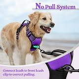 rabbitgoo Small Dog Harness No Pull Reflective with 2 Leash Clips Purple S view 6