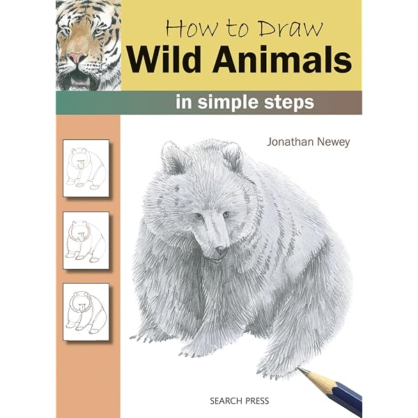 How To Draw Woodland Animals – Zeichenbuch Für Tiere Im Wald, Einfache Schritt-für-Schritt-Anleitung