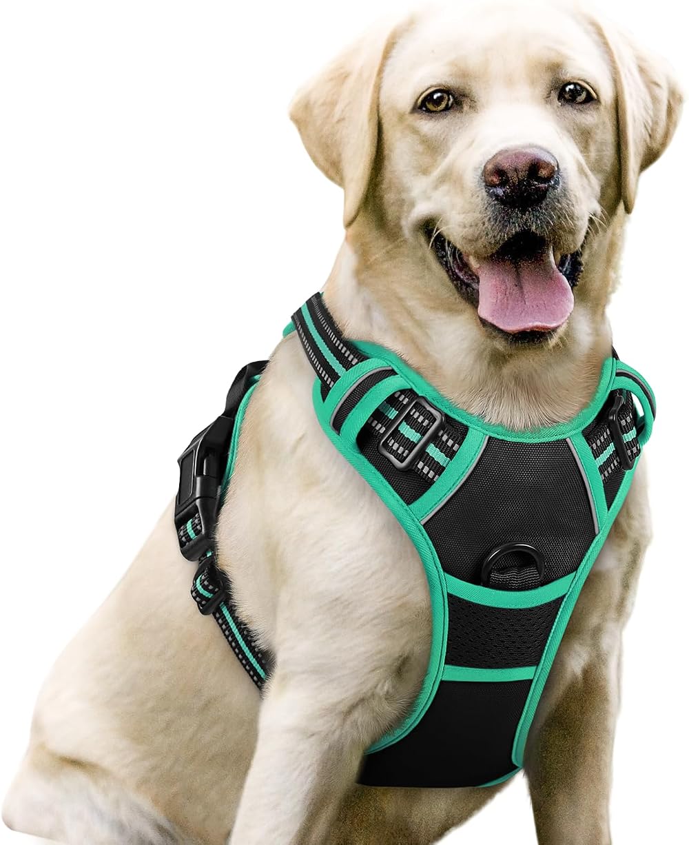rabbitgoo Dog Harness Large No Pull Adjustable Reflective Vest Black Mintgreen L