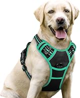 rabbitgoo Dog Harness Large No Pull Adjustable Reflective Vest Black Mintgreen L