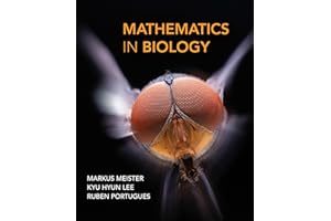 kindle best category lists