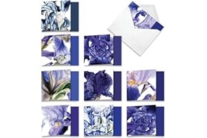 The Best Card Company - 10 Boxed Note Cards with Flowers - Blank Assorted Floral Notecards Bulk (4 x 5.12 Inch) - Iridescent Iris MQ4949OCB-B1x10
