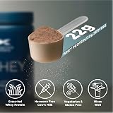 Kinetica Whey Protein Powder Chocolate 1 Kg 23g Protein 5.5g BCAA view 4