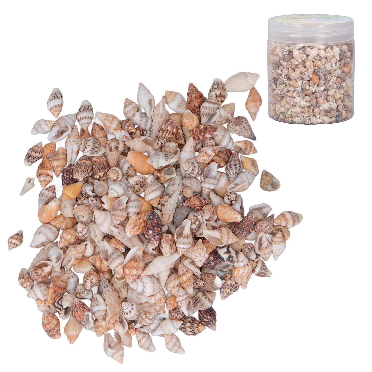 1 Can Shell Bead Tiny Sea Shells Ocean Beach Natural Spiral Seashells Craft Charms for DIY Fish Tank Landscaping Drift Bottle Decoration