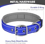 Joytale Reflective Small Dog Collar Navy Neoprene Padding Heavy Buckle view 5