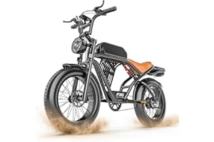 ASKGO Electric Bike for Adults, 2500W Peak Motor, 50KM/H & 160KM, 48V 20Ah Large Battery, NFC & Password Unlock, Electric Dir