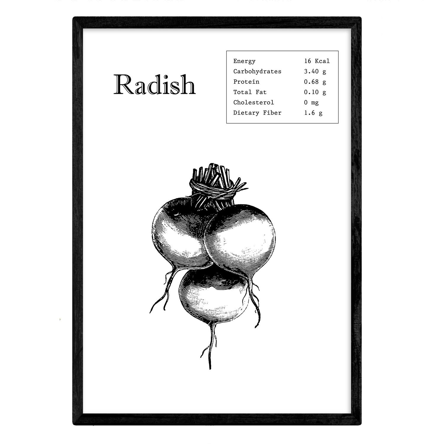 Nacnic Poster Radish. Sheets of fruits and vegetables in English. A3 size