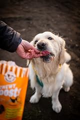 Laughing Dog Chewy Boosts 125g Chicken Ginger Dog Treats Training view 4