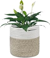 Tenn Well 20cm Plant Pot with Liner Cotton Indoor Planter Woven Basket White