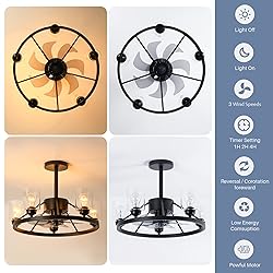 KINGTORO 24" Chandelier Ceiling Fans with Lights