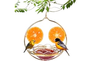 Jealoeur Oriole Feeders for Outdoors Hanging with Fruit Holder, Golden Oriole Feeders, Easy to Disassemble and Wash, Used for Bird Watching in The Courtyard