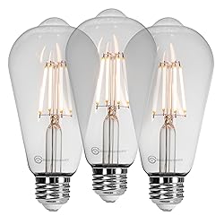 Basics Hardware LED Edison Light Bulbs - Dimmable