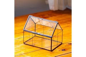 NCYP Mini Glass Terrarium with Lid - 6.1" x 4.25" x 4.92" House Shape Closed Planter Pot for Small Cactus, Succulents Plant - Home Garden Office Tabletop Geometric Decor, Black (Terrarium Only)