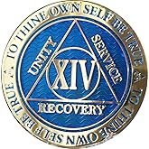 14 Year AA Medallion Dusty Blue Color Gold Plated Chip XIV