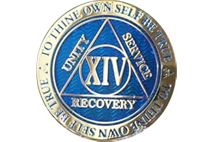 RecoveryChip 14 Year AA Medallion Dusty Blue Color Gold Plated Chip XIV