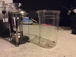 Amazon.com: BNF KTFRPRS French Press Coffee Maker, 20 oz: Kitchen & Dining