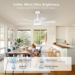 42 inch Ceiling Fans with Lights, Ceiling Fan with