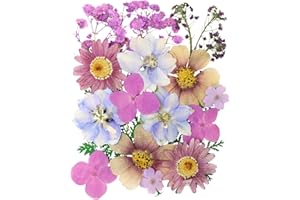 HOPELJ Natural Dried Flowers for Crafts Multiple Color Pressed Flowers for Resin Jewelry Making Scrapbooking Card Making Soap Candle DIY (20Pcs).