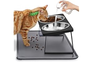LOPLUREA Elevated Cat Food Bowls with Mat Whisker Friendly, 15°Tilted Black Raised Cat Water Dishes Set for Anti Vomit, Pet Holder Stand Feeding Station for Indoor Kitten and Puppy