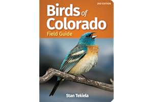 Birds of Colorado Field Guide (Bird Identification Guides)