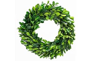 BOXWOOD VALLEY Preserved Boxwood Wreath, Wedding Home Decoration Full Green Real Boxwood Wreath, Indoor Décor for Halloween, Christmas Wreath (Wreath, 10")