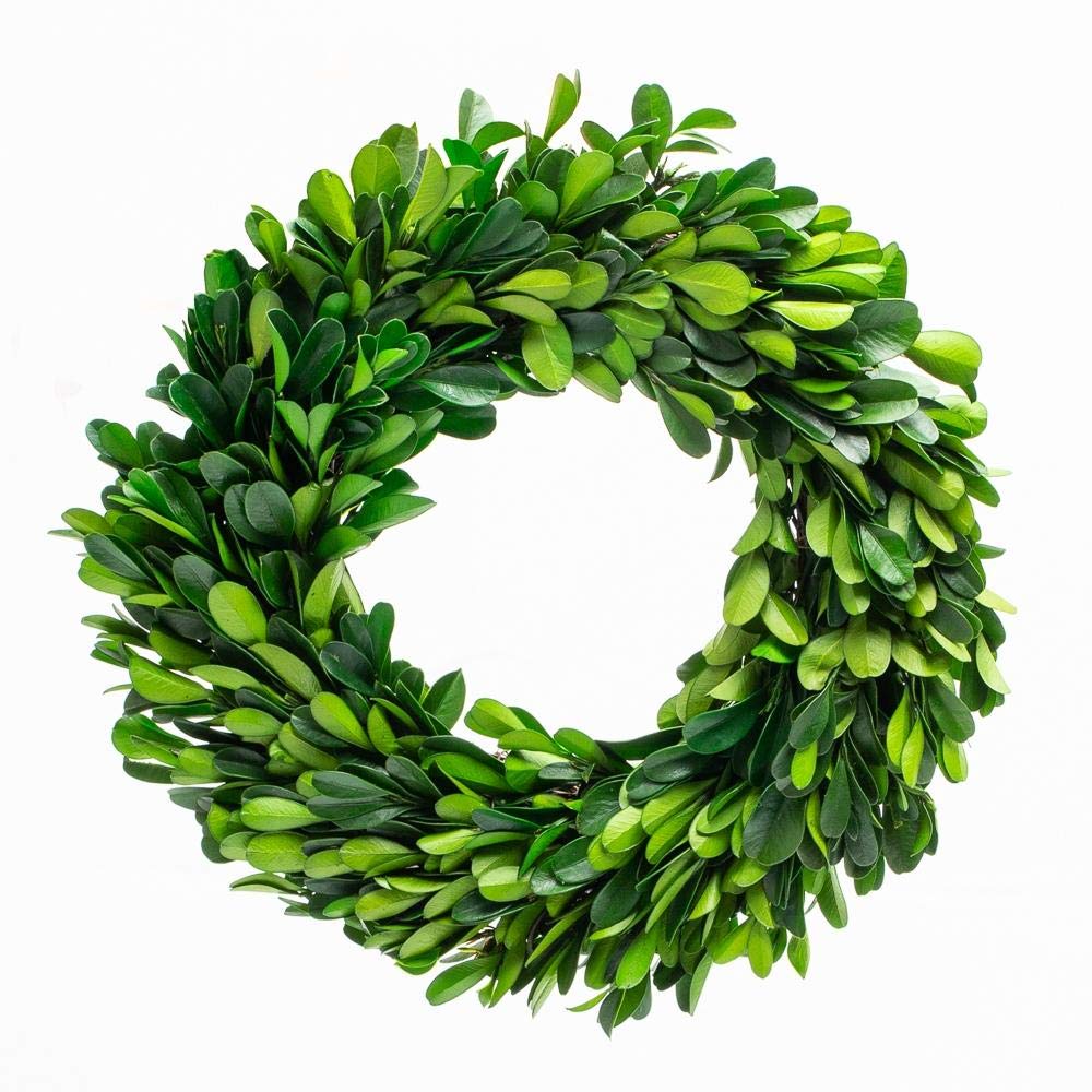 Photo 1 of Boxwood Wreath 10 inch Preserved Nature Boxwood Wreath Home Decor Stay Fresh for Years Rustic Farmhouse Holiday Home Decor, Halloween Christmas Wreath