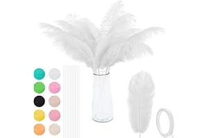 VONMXVTE Ostrich Feathers - 12Pcs 12-14inch White Feathers for vase，White Party Decorations，Wedding Party Centerpieces and Home Decorations (White)