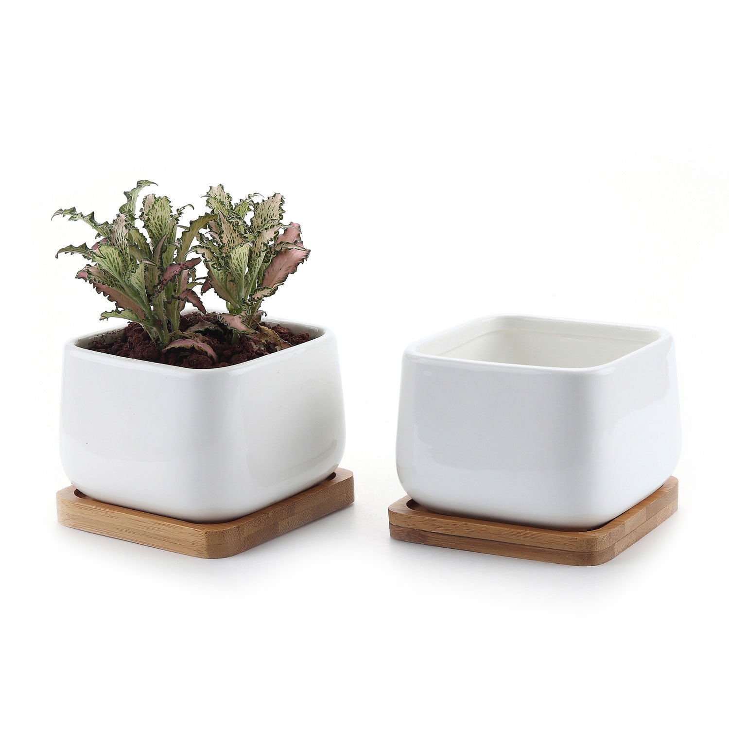 Photo 1 of T4U Small White Succulent Planter Pots with Bamboo Tray Square Set of 2, Geometric Cactus Plant Holder Container for Home Office Table Desk Decoration Gift for Mom Aunt Sister Daughter Gardener
