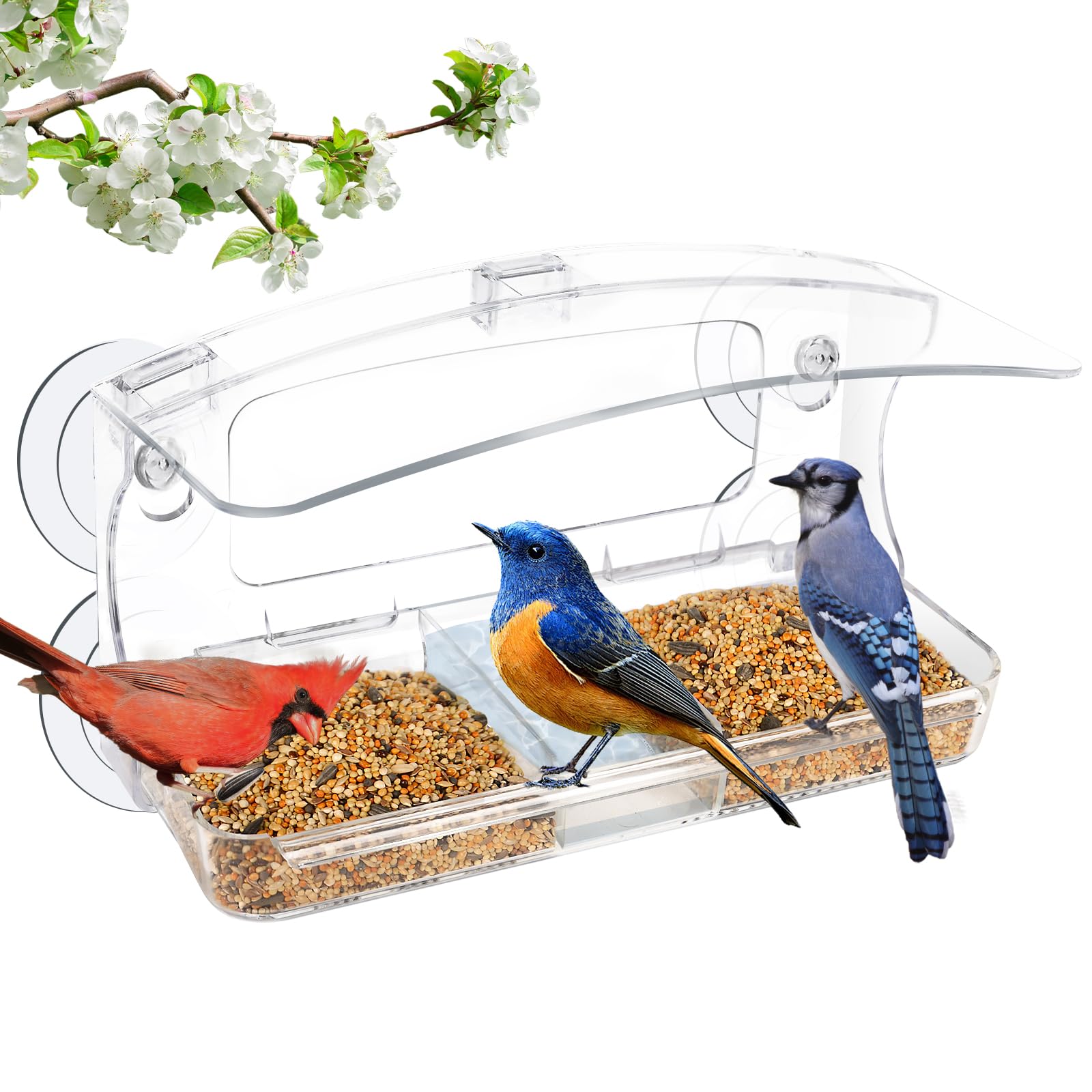 Jarkyfine Window Bird Feeder with Strong Suction