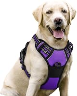 rabbitgoo Dog Harness Large No Pull Reflective Adjustable Purple L